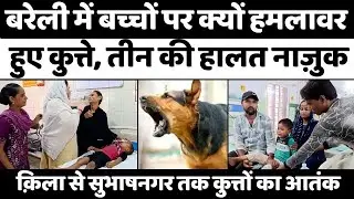 Bareilly News: बरेली में बच्चों पर क्यों हमला करने लगे कुत्ते | Dog Attack | District Hospital | UP
