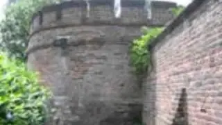 Welkom in Meeuwen Gruitrode.wmv