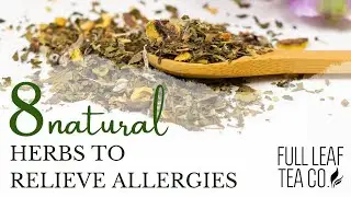 Organic Allergy Relief 🌼 | Tea of the Week