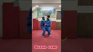 Ouchi gari #judo #fight #bjj #exercise #sports
