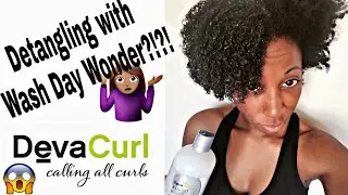 How to Detangle 4c Natural Hair? Deva Curl Wash Day Wonder Results