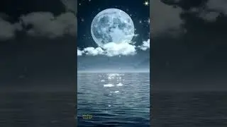 Video Background For Instagram Reels Update No Text Template | Relaxing Music and Video