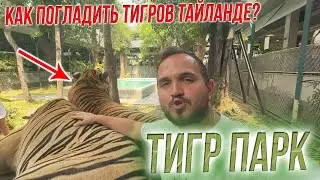 ТИГРЫ в ПАТТАЙЕ: Погладить и Обнять Хищника Tiger Park Pattaya  ВСЁ что нужно знать перед посещением