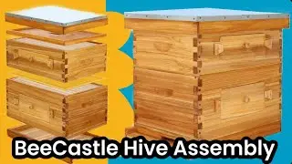 Assembling the BeeCastle Acrylic Window Beehive