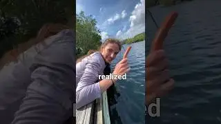 ПОДОЖДИТЕ! ЧТО ⁉️