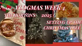 VLOGMAS НЕДЕЛЯ 4❄️ уборка, установка ёлки🎄, приготовление тако с креветками