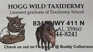 Hogg Wild Taxidermy Commerical