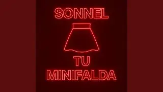 TU Minifalda