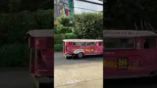 Pretty in pink #jeepney