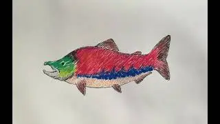 Fat Salmon Podcast: a review on fishing practices, what could the future hold?