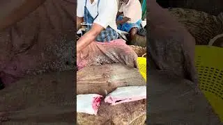 Kannadi Paarai fish cutting video/fishcuttingrs#fish #kasimedu #fishcuttingrs