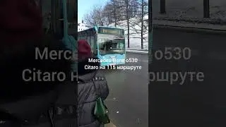 Mercedes-Benz o530 Citaro, 115 маршрут, Владимир-Радужный
