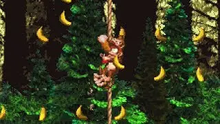 Donkey Kong Country 101% Walkthrough - World 3 (All Secret Areas)