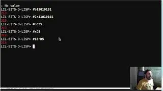 Little Bits of Lisp - Writing integers with different radixes