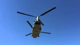 Chinook Landing