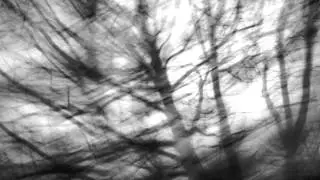 ESP10 - Eyes of a Dreamer in the City in the Shade [Grindcore]