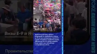Визы E-9 и H-2