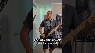Plush - Stone Temple Pilots cover by Saxony 🤘