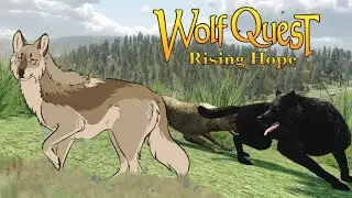 Diving Into Our Next QUEST!🦬🌼 Wolf Quest: Rising Hope #13 (Buffalo Plateau)