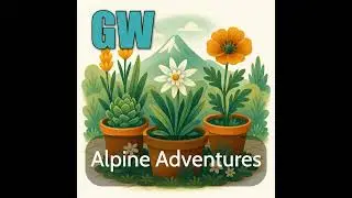 Alpine Adventures