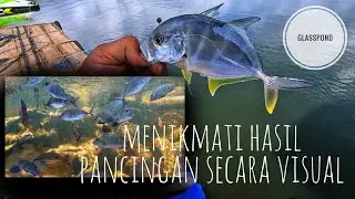 Indah nya Ikan ikan sungai muara Jogja.