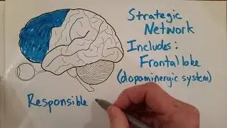 Strategic Network