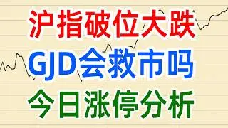 沪指破位大跌，GJD会救市吗？今日涨停分析  (1216)