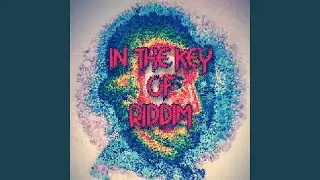 In The Key Of Riddim (feat. James Di Janni & Hawkins French)