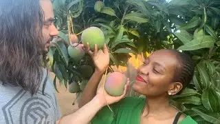 A day in our village life after moving from USA to ￼rural South Africa