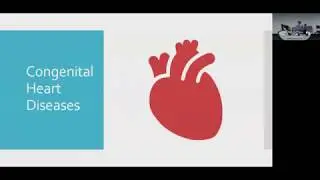 MUPPITS Year 4C Paediatrics Revision Lecture - Cardiology