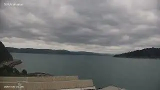 2026-01-20 Wellington Timelapse Camera