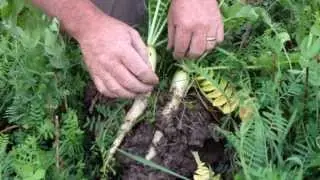 Blake Vince, Nuffield Scholar -  Cover Crops Ontario, Canada