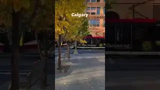 Autumn 🍂 Fall 🍁 In Calgary, Canada 🇨🇦
