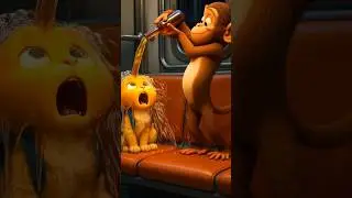 Funny Cat Video: Monkey Pours Water on Kitten, Big Cat&rsquo;s Sticky Trap