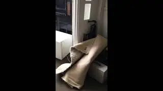 House Clearance Hornsey N8