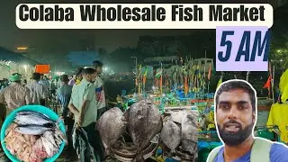 Sassoon Dock Fish Market at 5 AM | Colaba Wholesale Fish Auction | Mumbai&rsquo;s Biggest Morning Market
