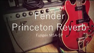 Fender Princeton Reverb Silver Face