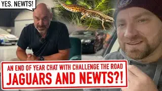Newts, Jaguars, CBD and The Year in Review - End of year chat with Challenge The Road
