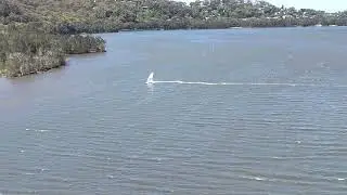 Chasing the boys via Drone on their Windsurf Boards in a gusty North Easter at Narrabeen Lake.