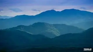 Philosomatika - Trancika