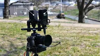 DaVinci Resolve  |  M/S Decoding  |  LEWITT LCT 441 FLEX pair