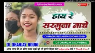 Chhattisgarhia  Hiralal song DJ