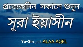 প্রতিদিন সকালে শুনুন-প্রশান্তিময় কন্ঠে সূরা ইয়াসীন|(سورة يس) SURAH YASIN | Morning Quran Recitation