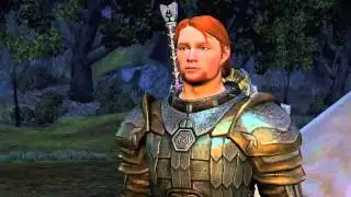 Ser Gilmore mod - 008 About the Wardens