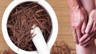 The Health Benefits of Pau d&rsquo;arco Tea