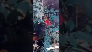 #antim#Ringtone @mood@off🥲😭