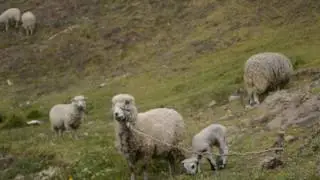 Entre los Hilos de la Historia - Quilloac (Cañar/Ecuador) - Etnografía