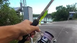 lemon bay fishing englewood #fishing #bullbayrods