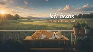 A peaceful afternoon with my cat 🐈 lofi beats for sleep/chill/stress relief