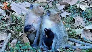 Mostly Seem young Mom DeeDee follow Jill, But Jill tried escape DeeDee .